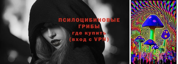 мдпв Нея