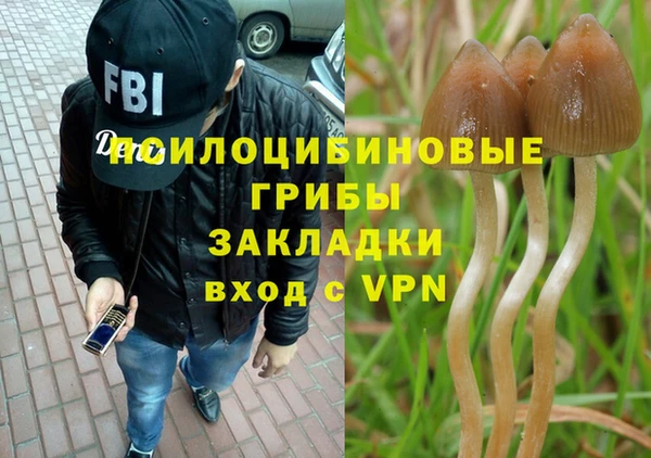амф Новокубанск