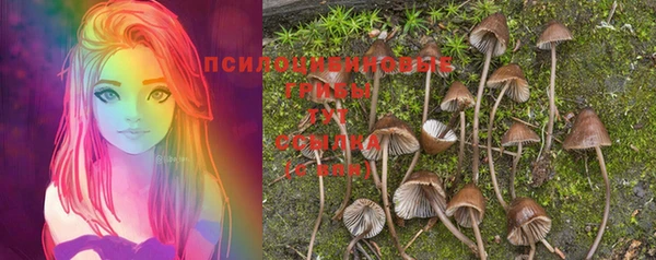 меф Новозыбков