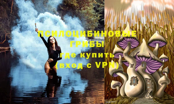 мяу мяу мука Гусиноозёрск