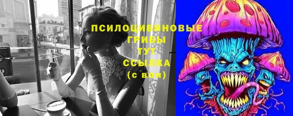 амф Новокубанск